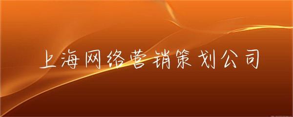 上海網(wǎng)絡(luò)營銷策劃公司 企業(yè)數(shù)字化轉(zhuǎn)型的領(lǐng)航者與增長引擎